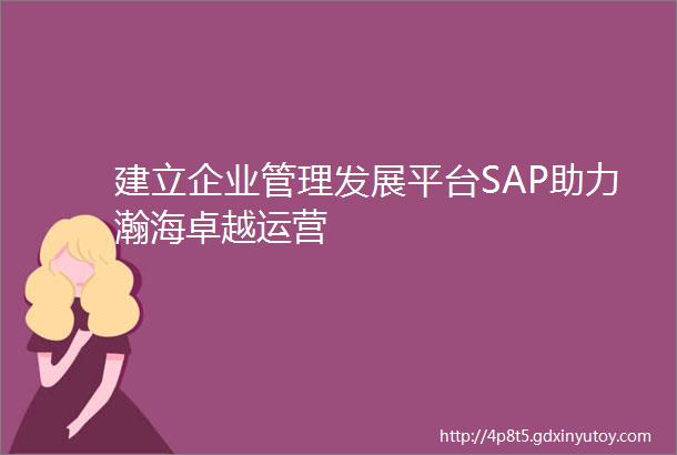 建立企业管理发展平台SAP助力瀚海卓越运营